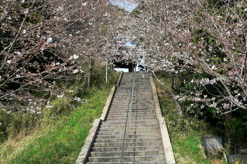 円明寺への階段