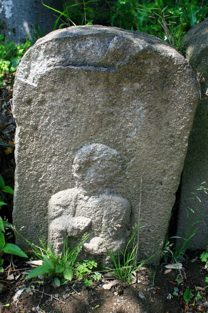 �n����F���R