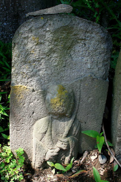 �n����F���U