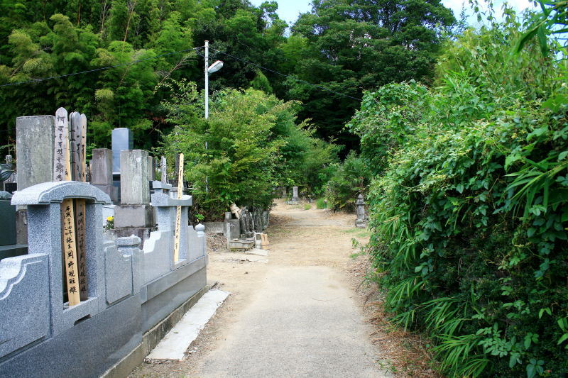墓地中央への通路