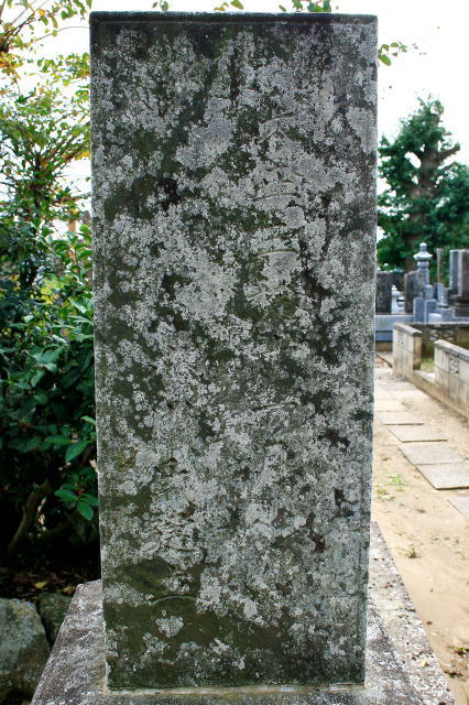 金古醇子墓碑左側面