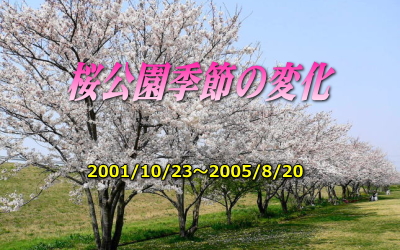 桜公園 季節の変化