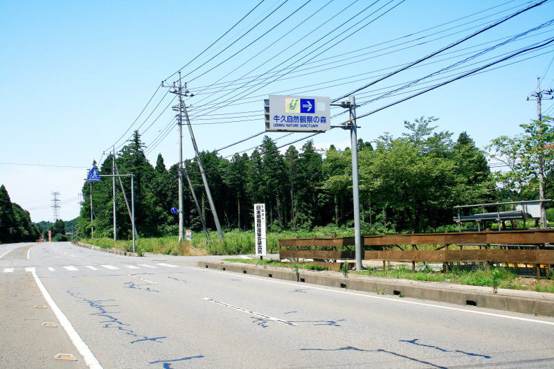 国道48号線（土浦龍ヶ崎線・女化街道）からの入口